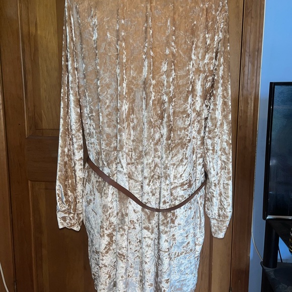 Gold Dress with Belt - Picture 7 of 7